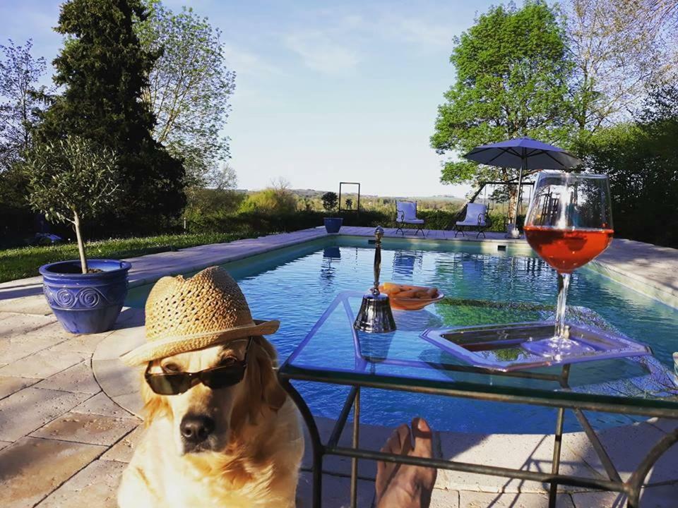 Domaine Du Merlot Sainte-Sabine-Born Buitenkant foto