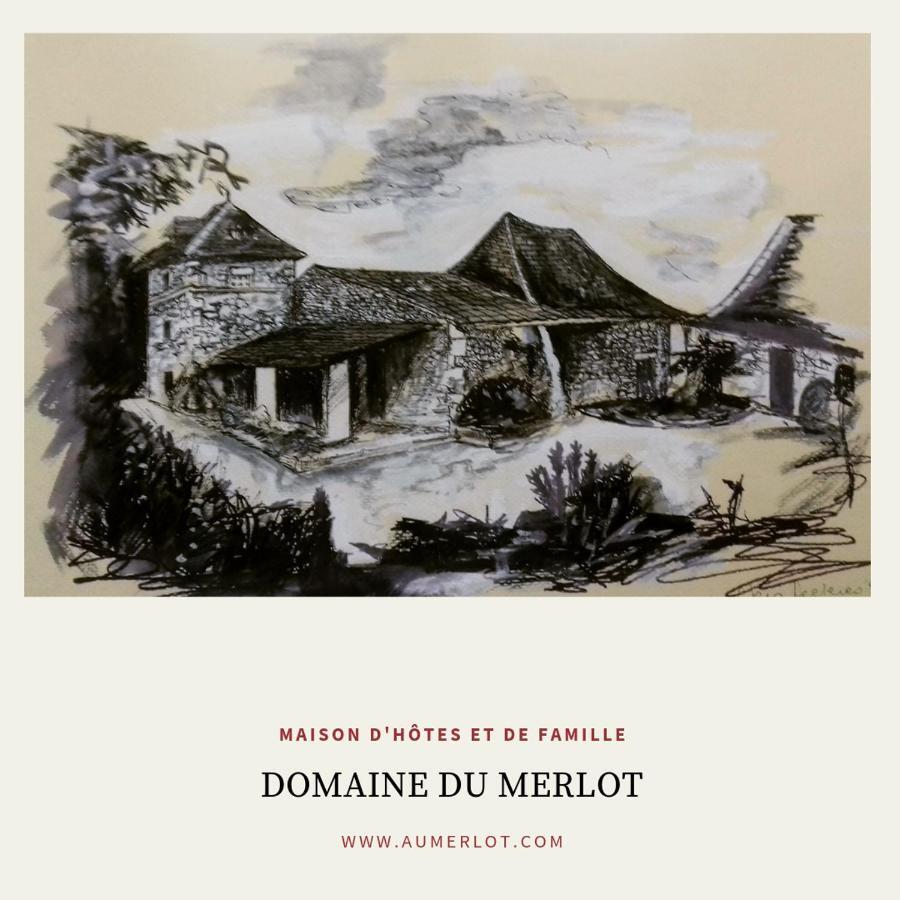 Domaine Du Merlot Sainte-Sabine-Born Buitenkant foto